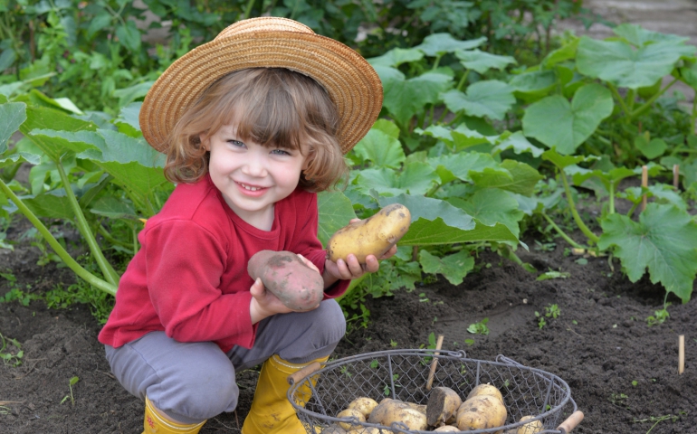 Przynieś śmieci do Magistratu, dostaniesz pół kilo nasion